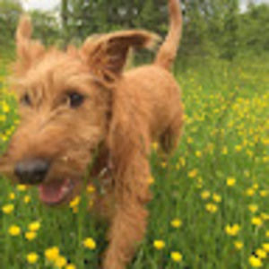 Meet your Posher, Eva